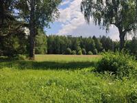 Продается шикарный участок в окружении леса Жуковский р-н, д. Корсаково