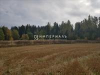 Продается земельный участок в красивом месте у озера, в деревне Трубицыно Боровского района Калужской области! 