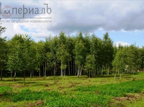 Продаётся отличный участок в окружении лесного массива в Калужской области, Боровского района вблизи деревни Сатино Калужская область, Боровского района вблизи деревни Сатино.