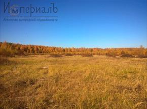 Большой участок для ведения крестьянского(фермерского) хозяйства Боровский район, близ д. Ильино