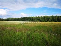 Продается земельный участок в Калужской области Боровского района, вблизи деревни Коростелево. 