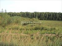 Продается участок 5,5 ГА в деревне Логачево Медынского района Калужской области! 