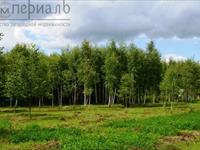Продаётся отличный участок в окружении лесного массива в Калужской области, Боровского района в СНТ «ВИНТ» вблизи деревни Сатино.  