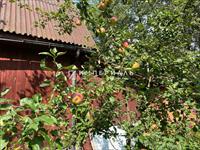 Продается кирпичный дом 145 кв.м. с баней, прудом и березовой рощей на 37 сотках для круглогодичного проживания в деревне Рогачево Боровского района! 
